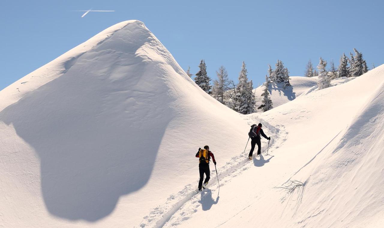 Naturhotel Huettenwirt Im Grossarltal Hüttschlag Εξωτερικό φωτογραφία