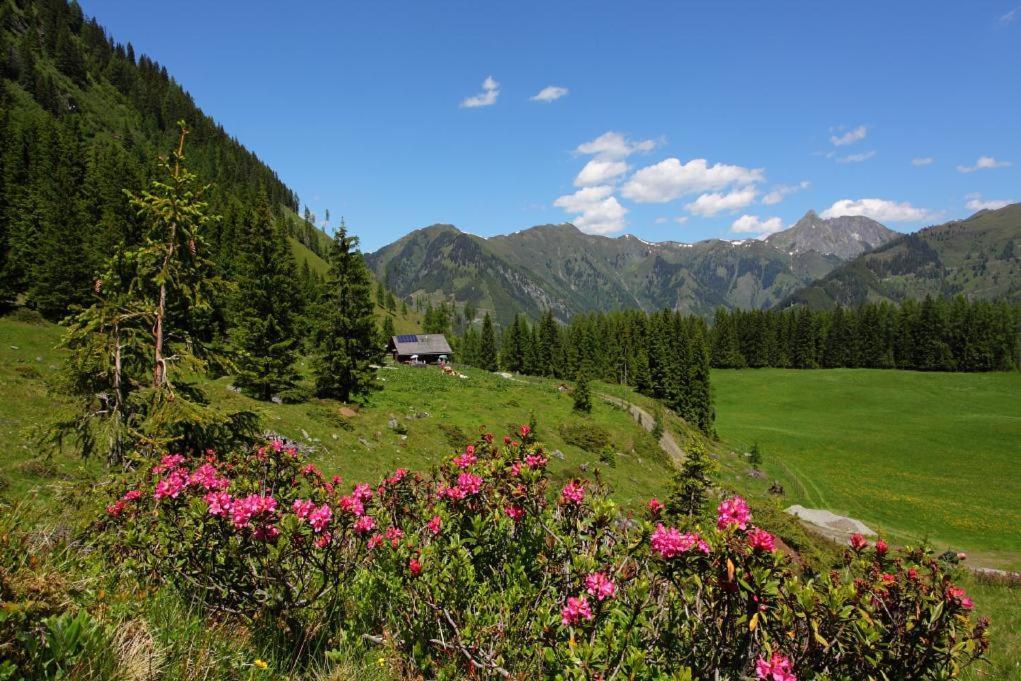Naturhotel Huettenwirt Im Grossarltal Hüttschlag Εξωτερικό φωτογραφία