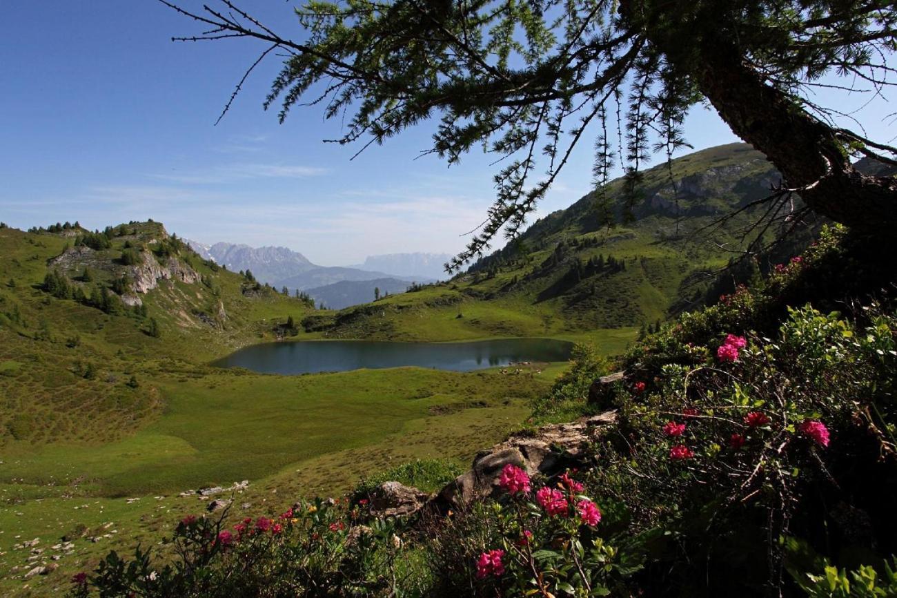 Naturhotel Huettenwirt Im Grossarltal Hüttschlag Εξωτερικό φωτογραφία